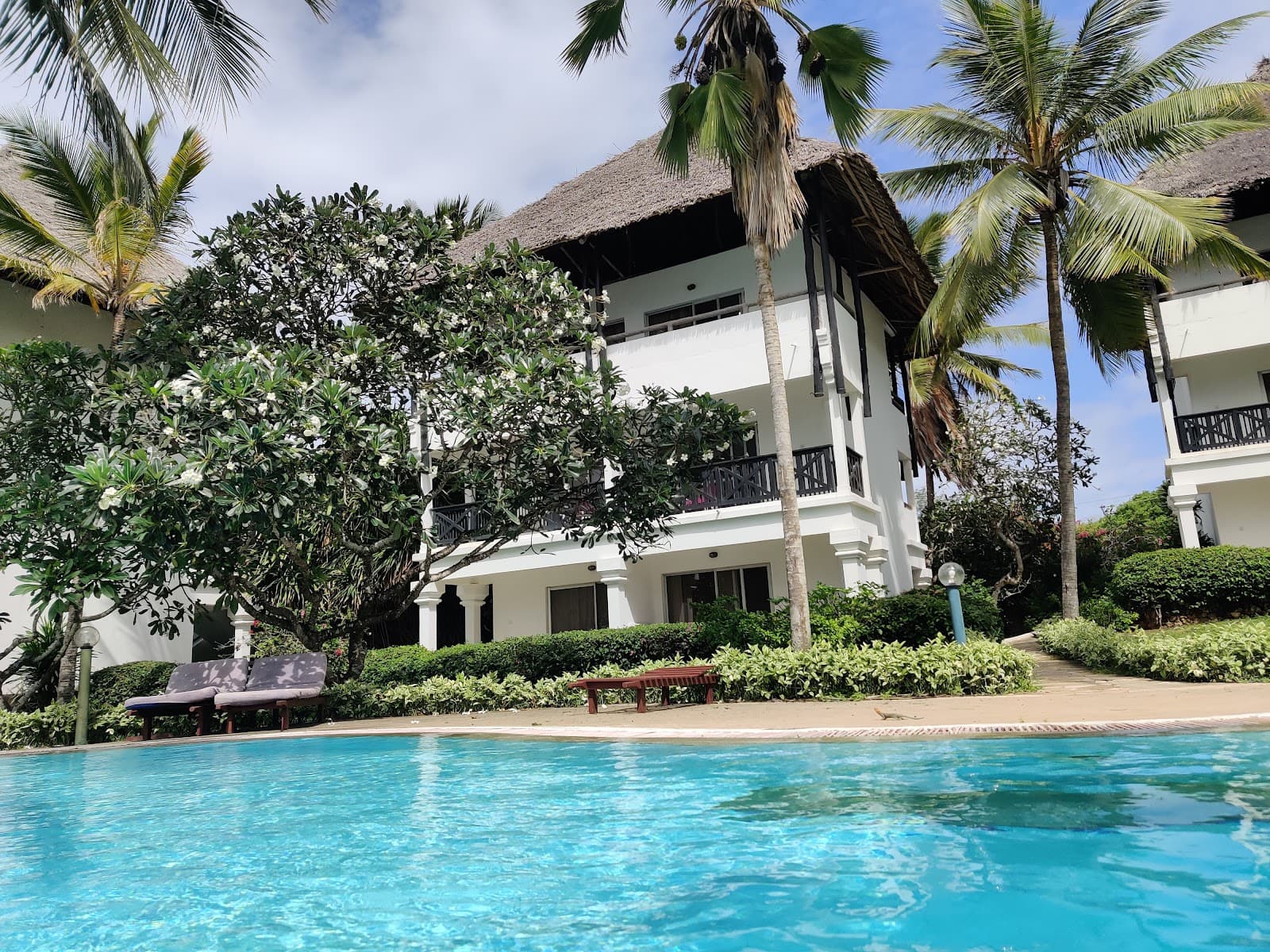 Turtle Reef (Watamu) - Image 1