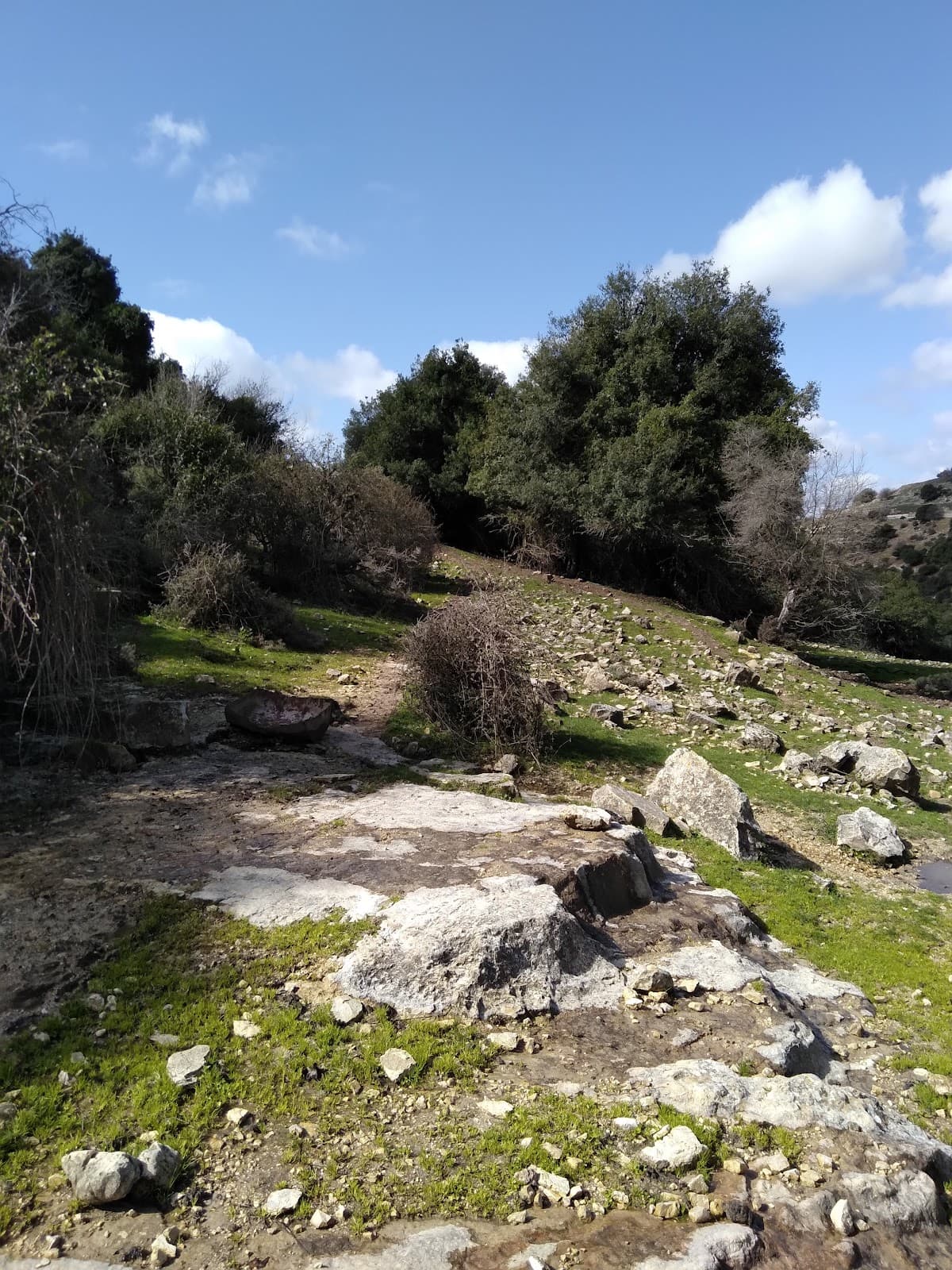 Mount Meron Nature Reserve - Image 1