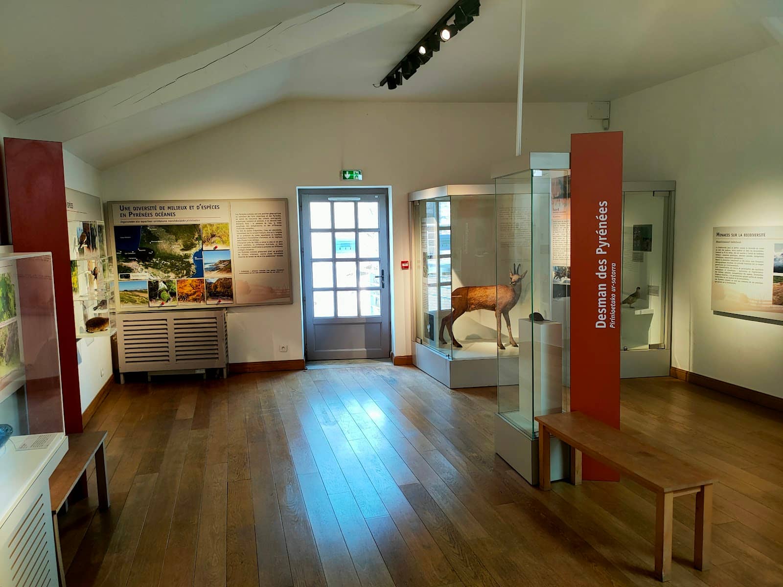 Eco-Guard Trail Advice