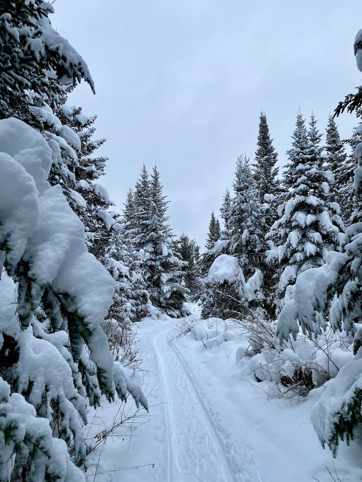 Catamount Outdoor Family Center - Image 1