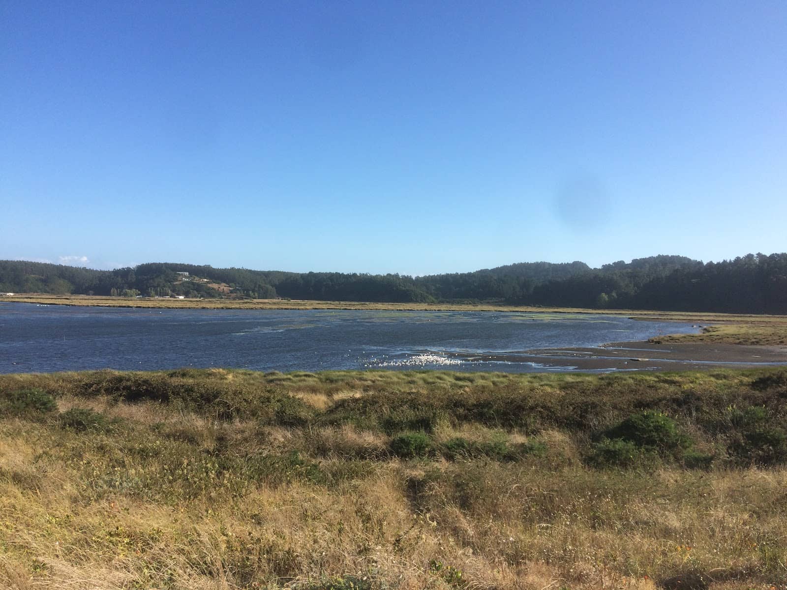 Nature Viewpoints
