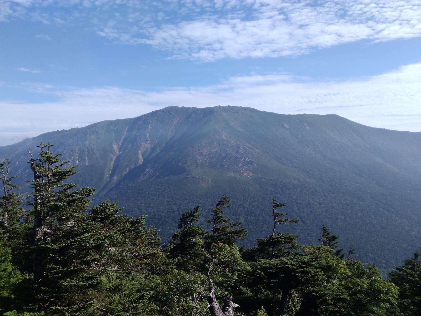 Sarugaishi River Greenway - Image 1
