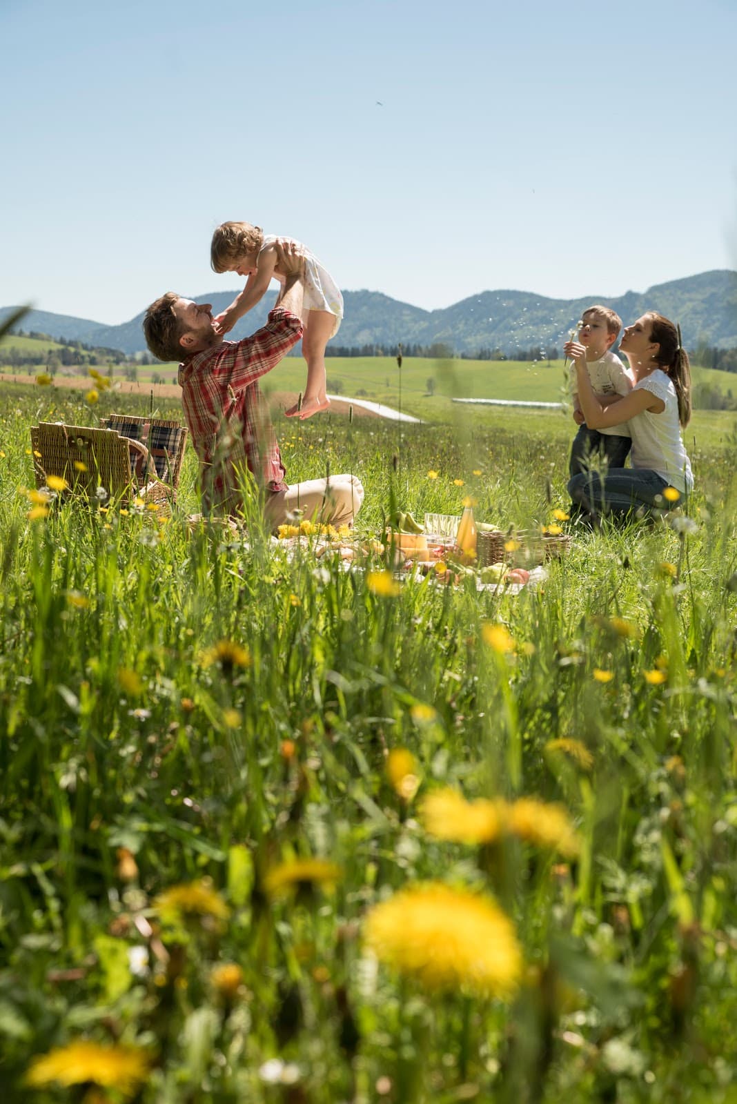Teichalm–Sommeralm Plateau - Image 1