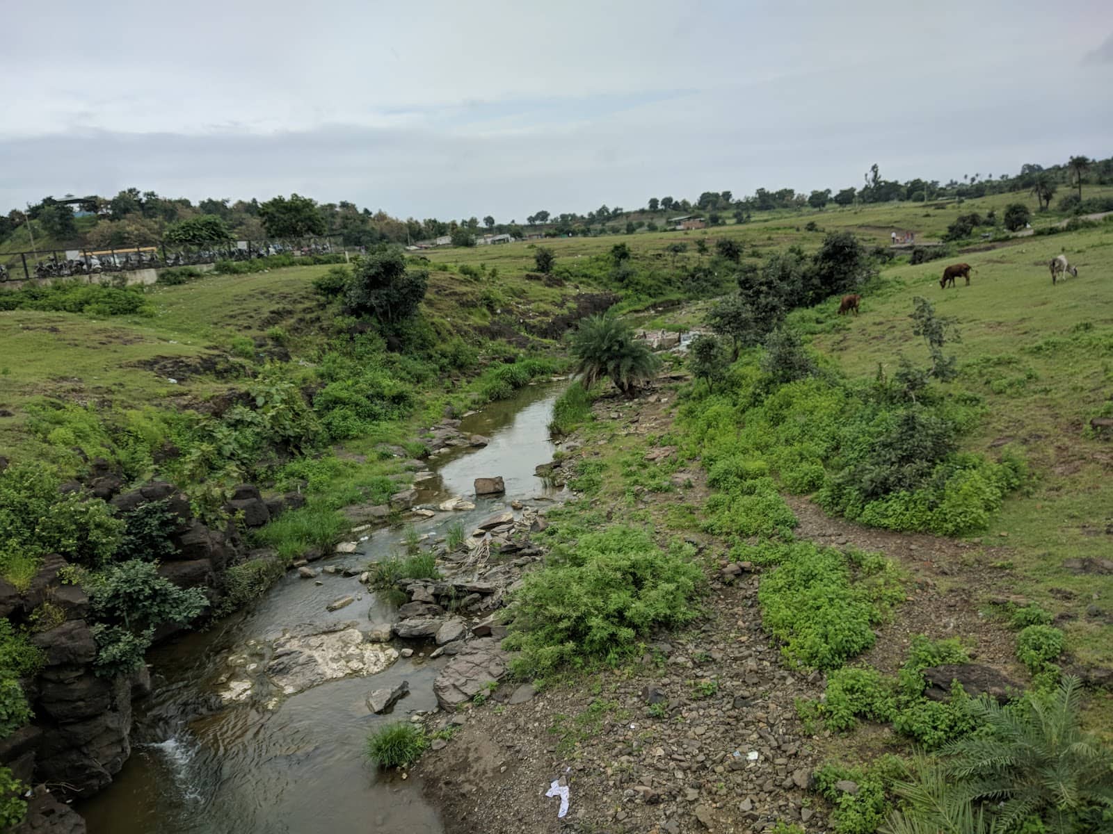 Dense Forests & Trekking Trails