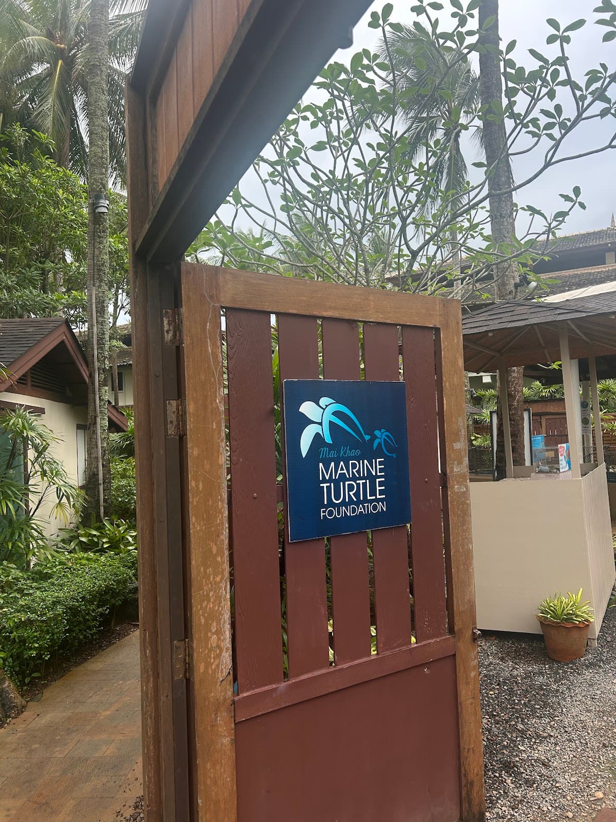 Mai Khao Marine Turtle Foundation Phuket - Image 1