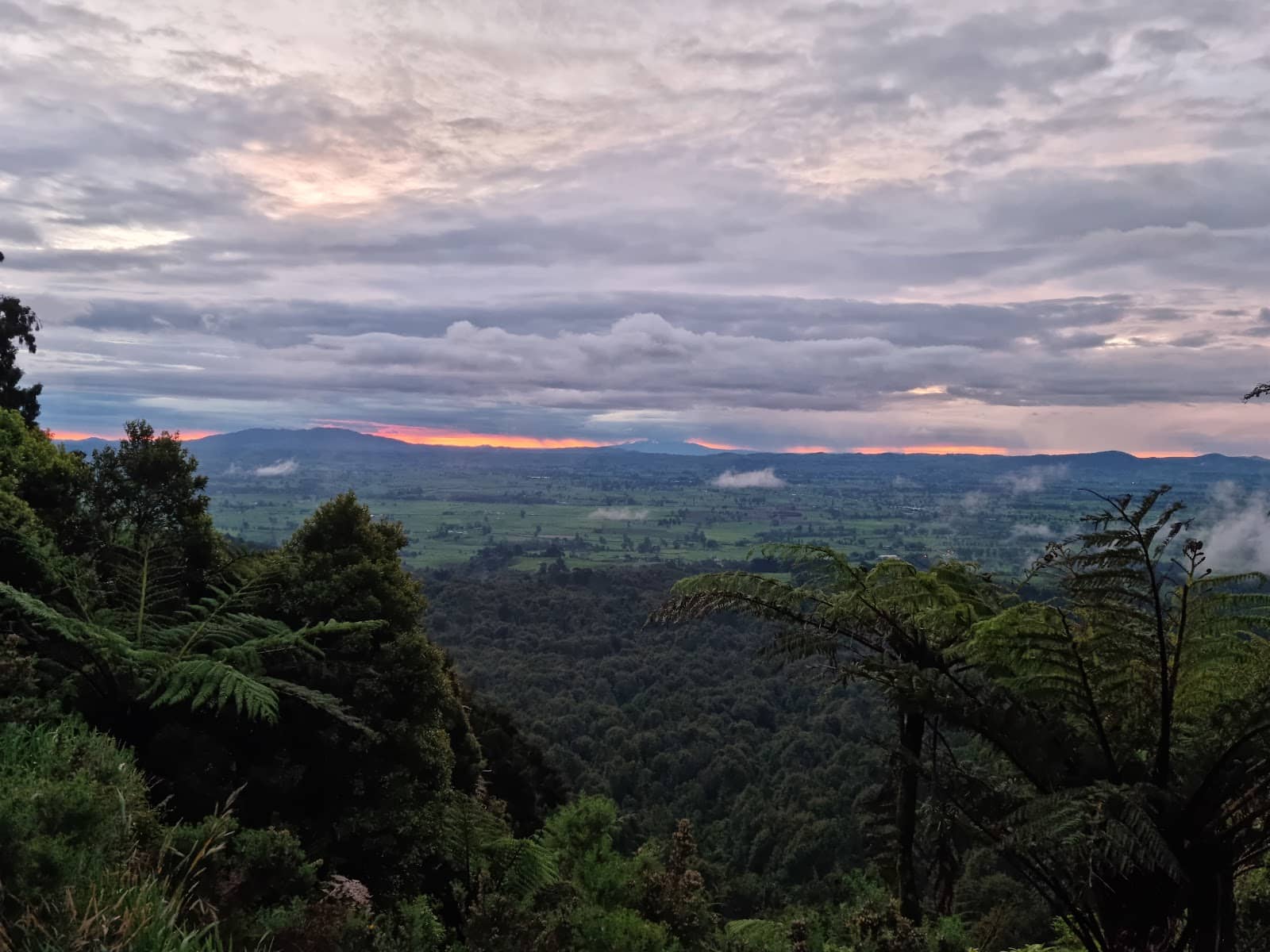 Roadside Photo Opportunity