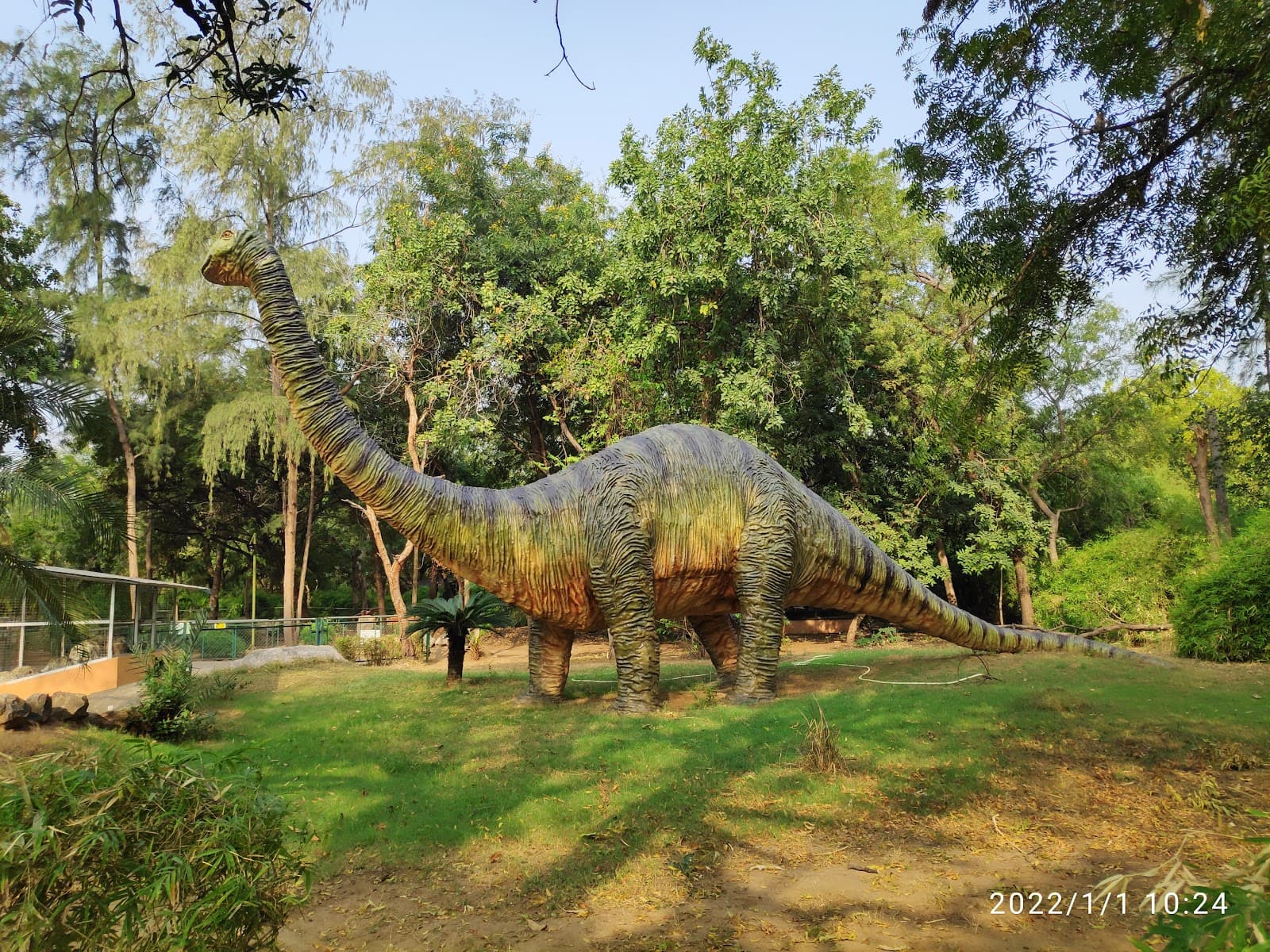Indroda Nature Park (Dinosaur & Fossil Park) - Image 1