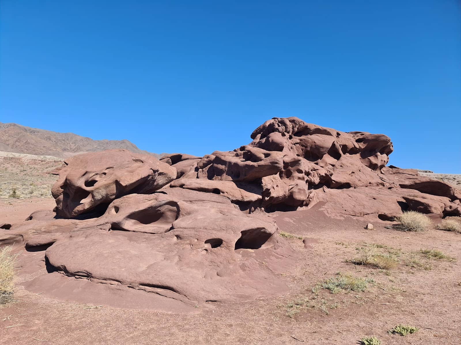 Ancient Petroglyphs
