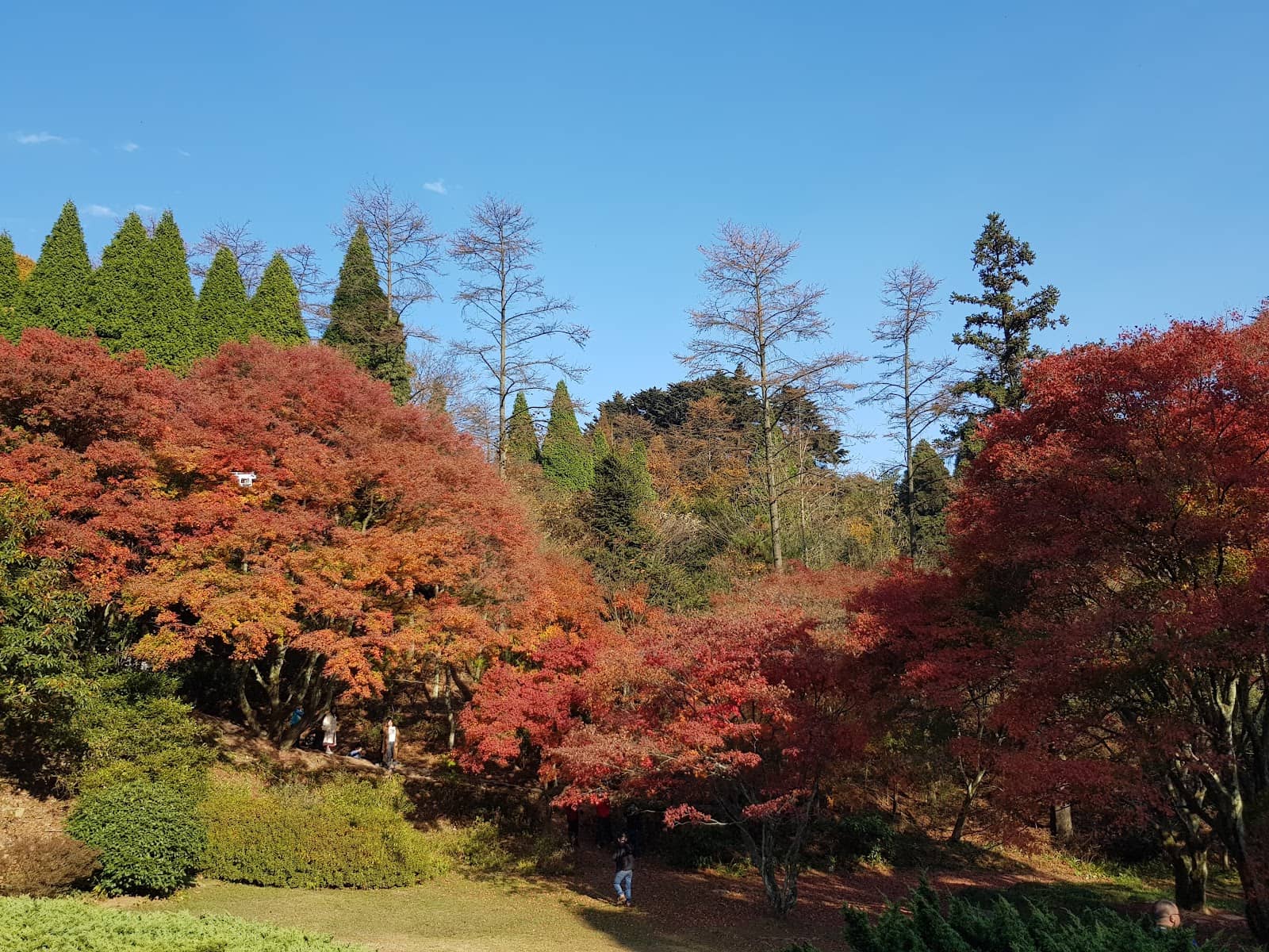 Serene Natural Beauty