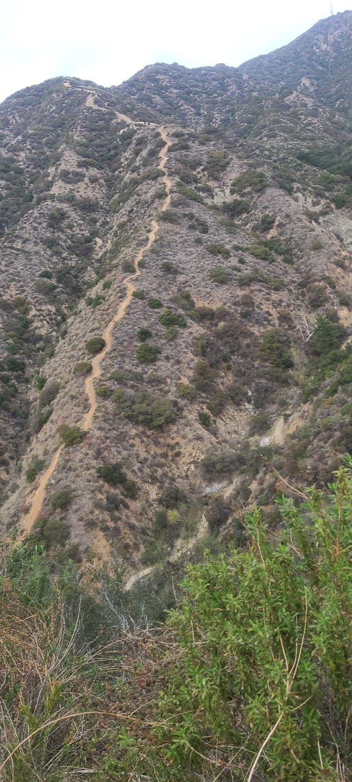 Brand Motorway Trail - Image 1