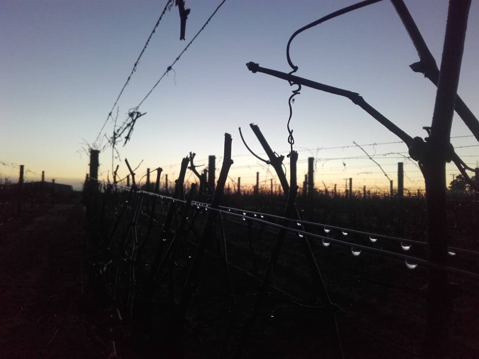 Craggy Range Winery