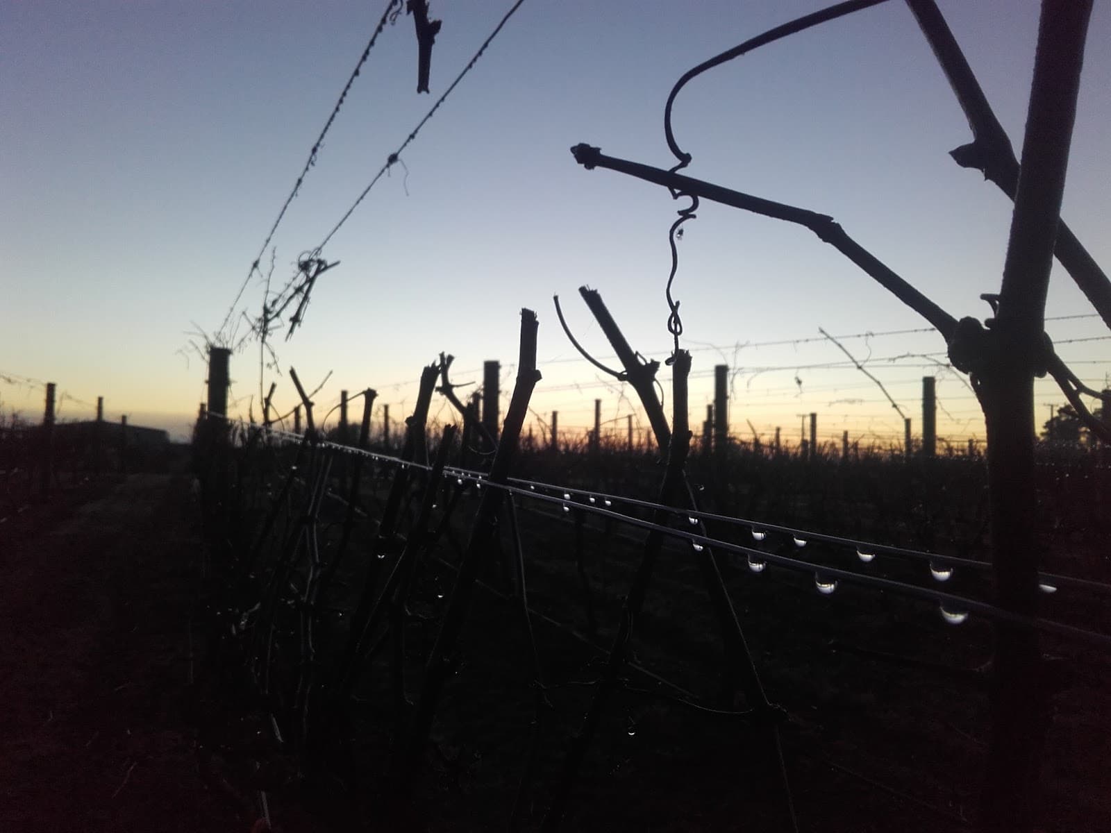 Gimblett Gravels - Image 1