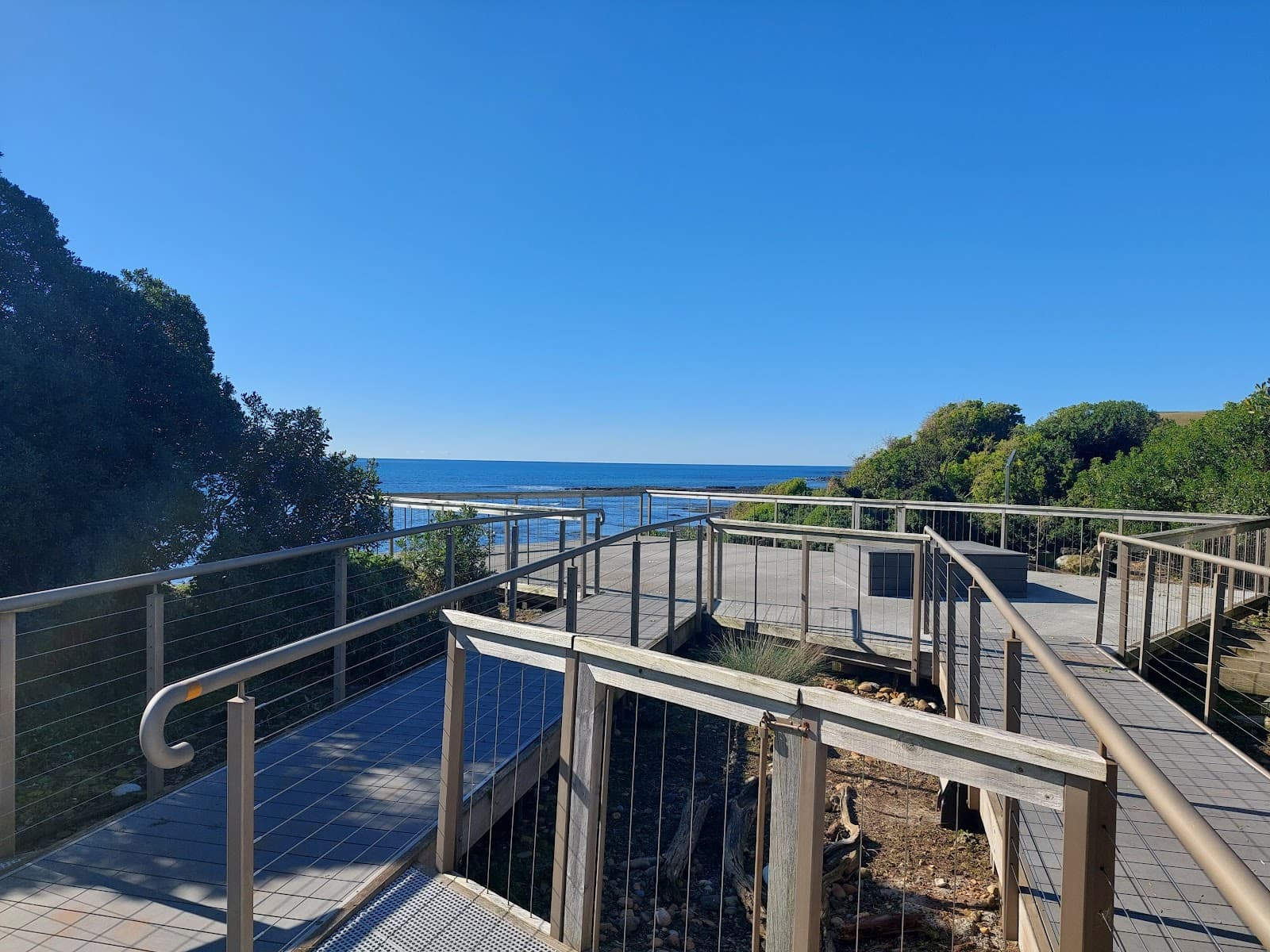 Lillico Beach Penguin Viewing - Image 1