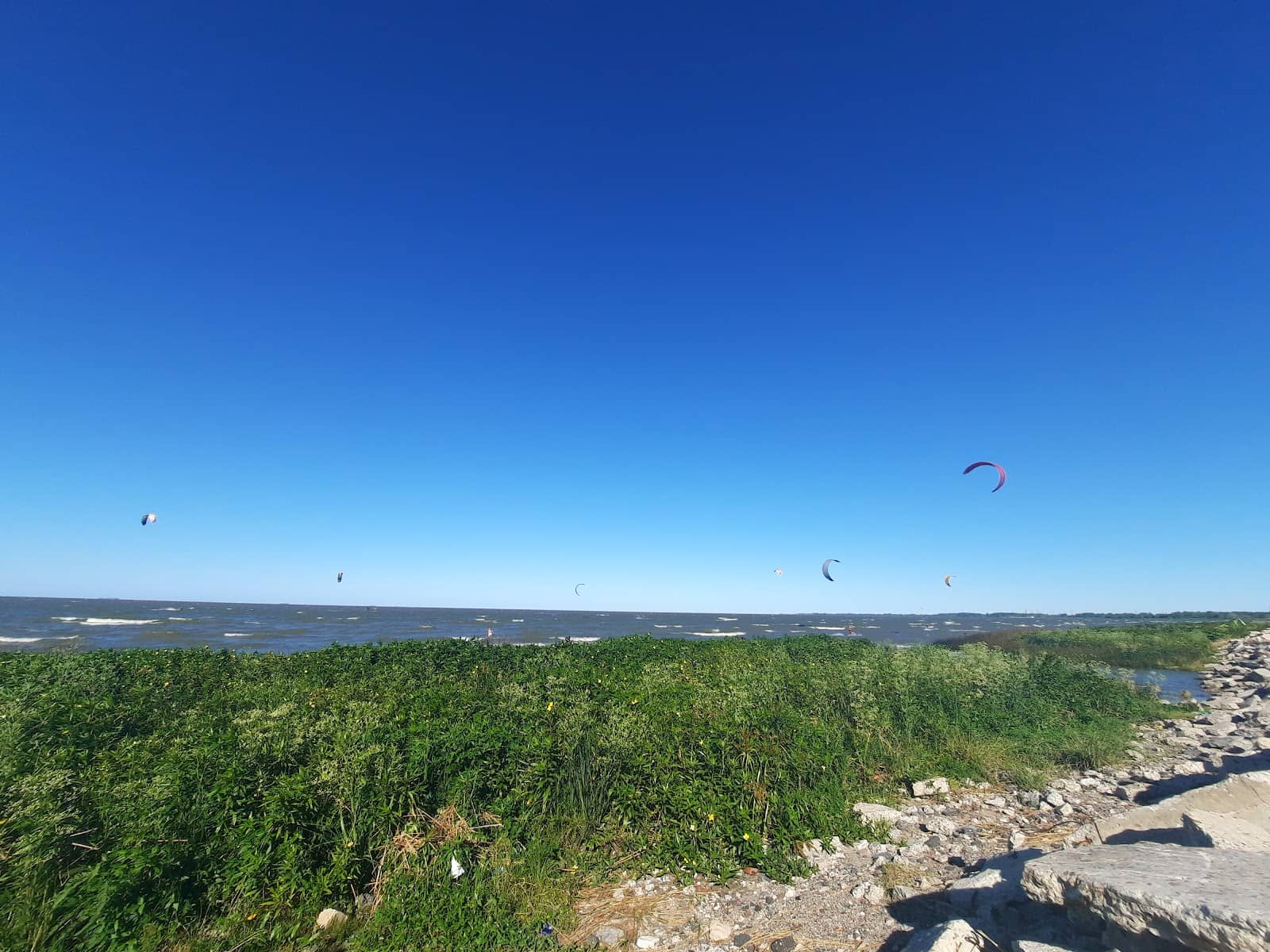 Vertical photo