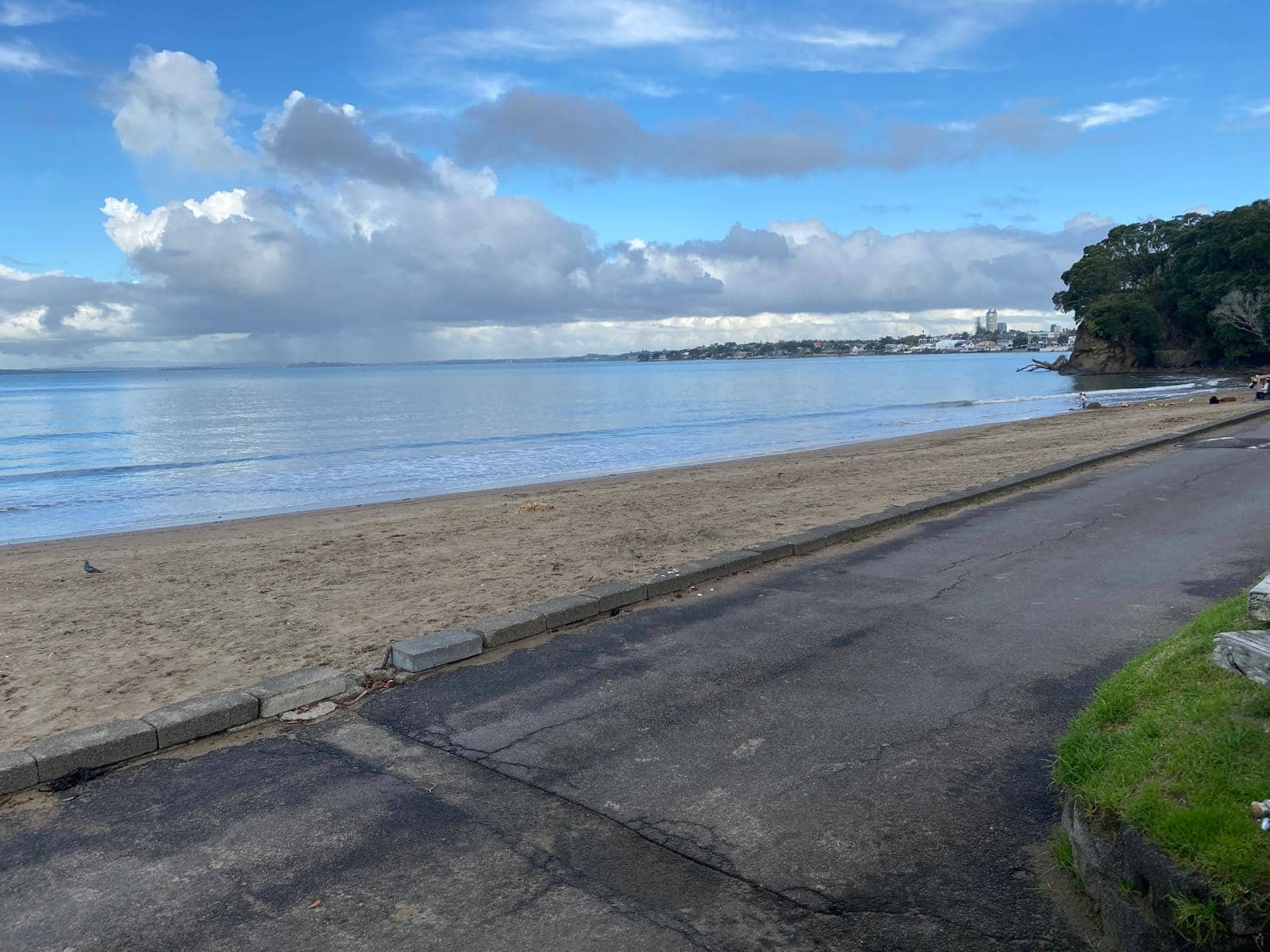 Kennedy Park to Castor Bay Walk