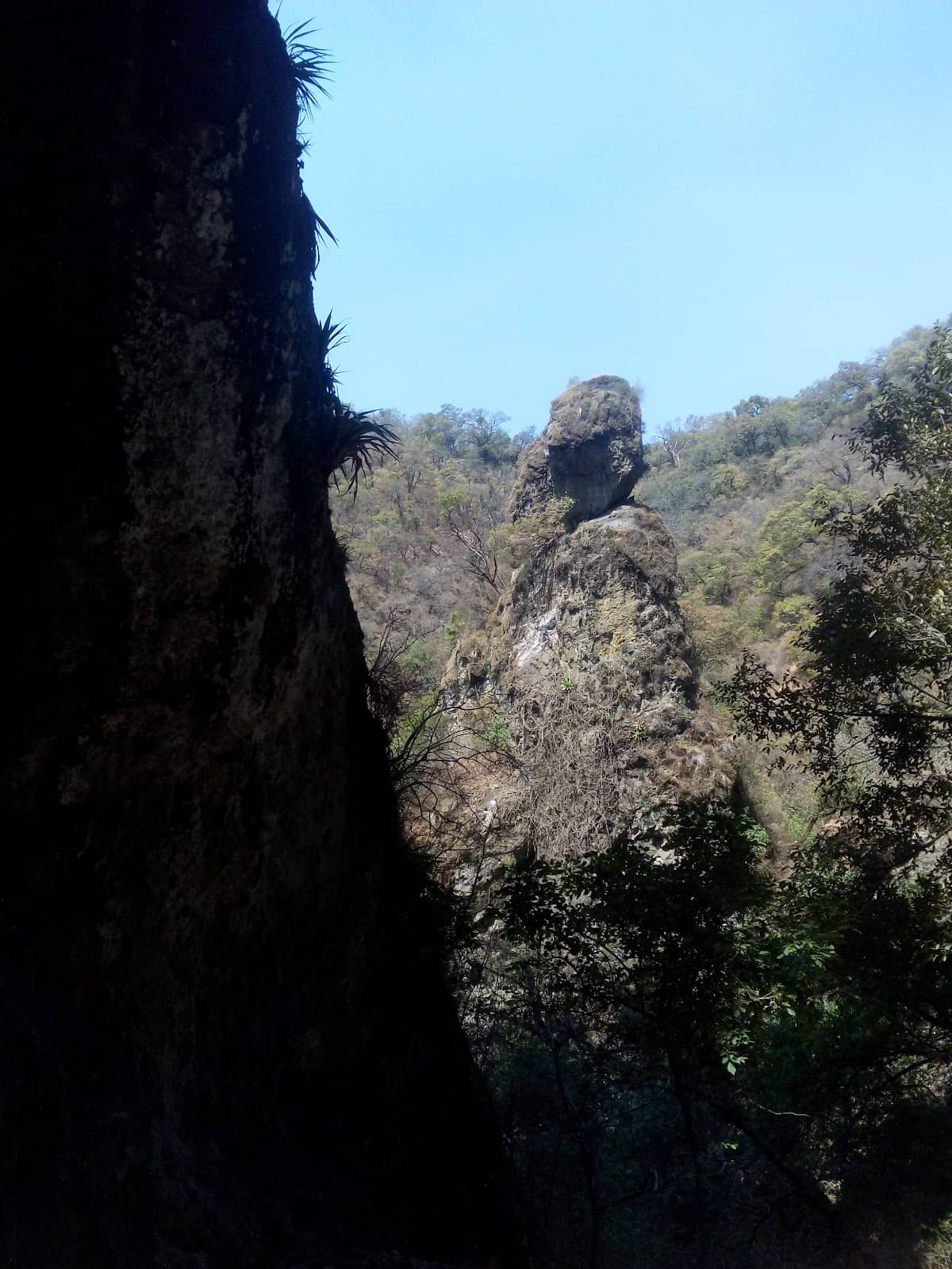 Vertical photo