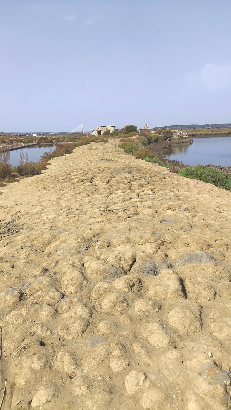 Salinas de Castro Marim - Image 1