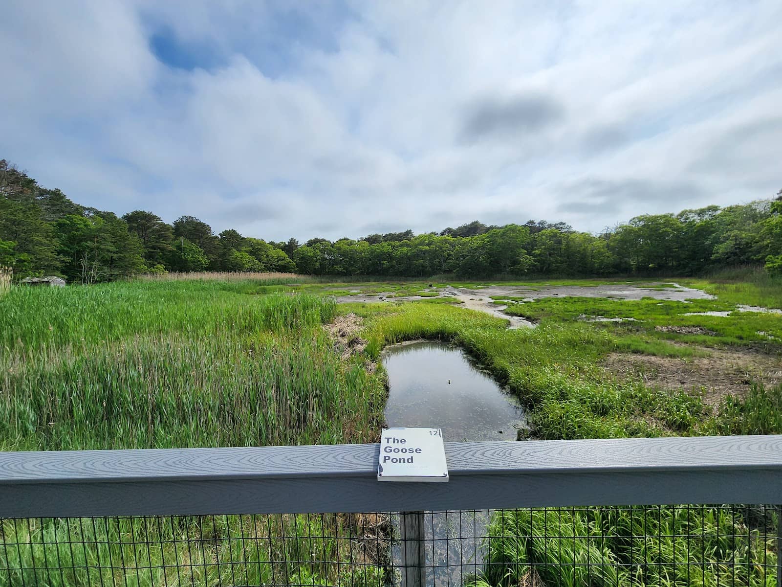 Goose Pond Loop