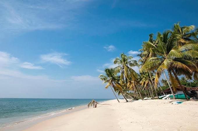 Marari Beach - Image 1