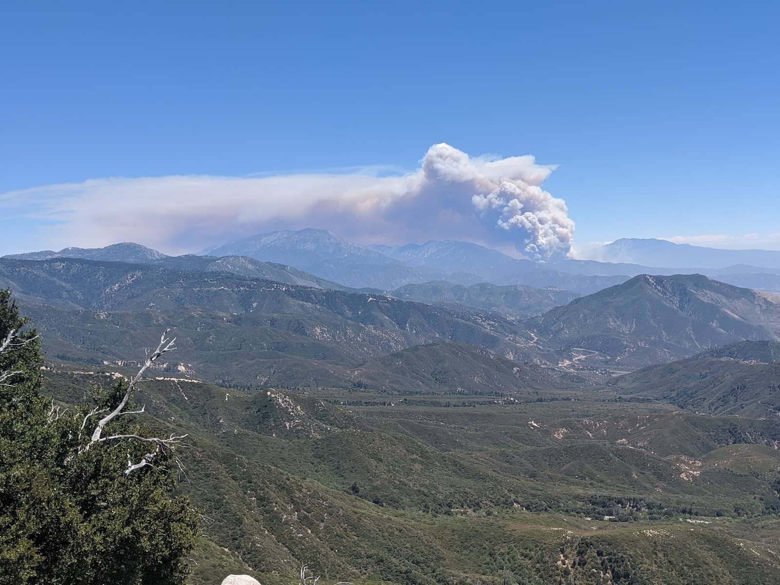 City Lights at Night
