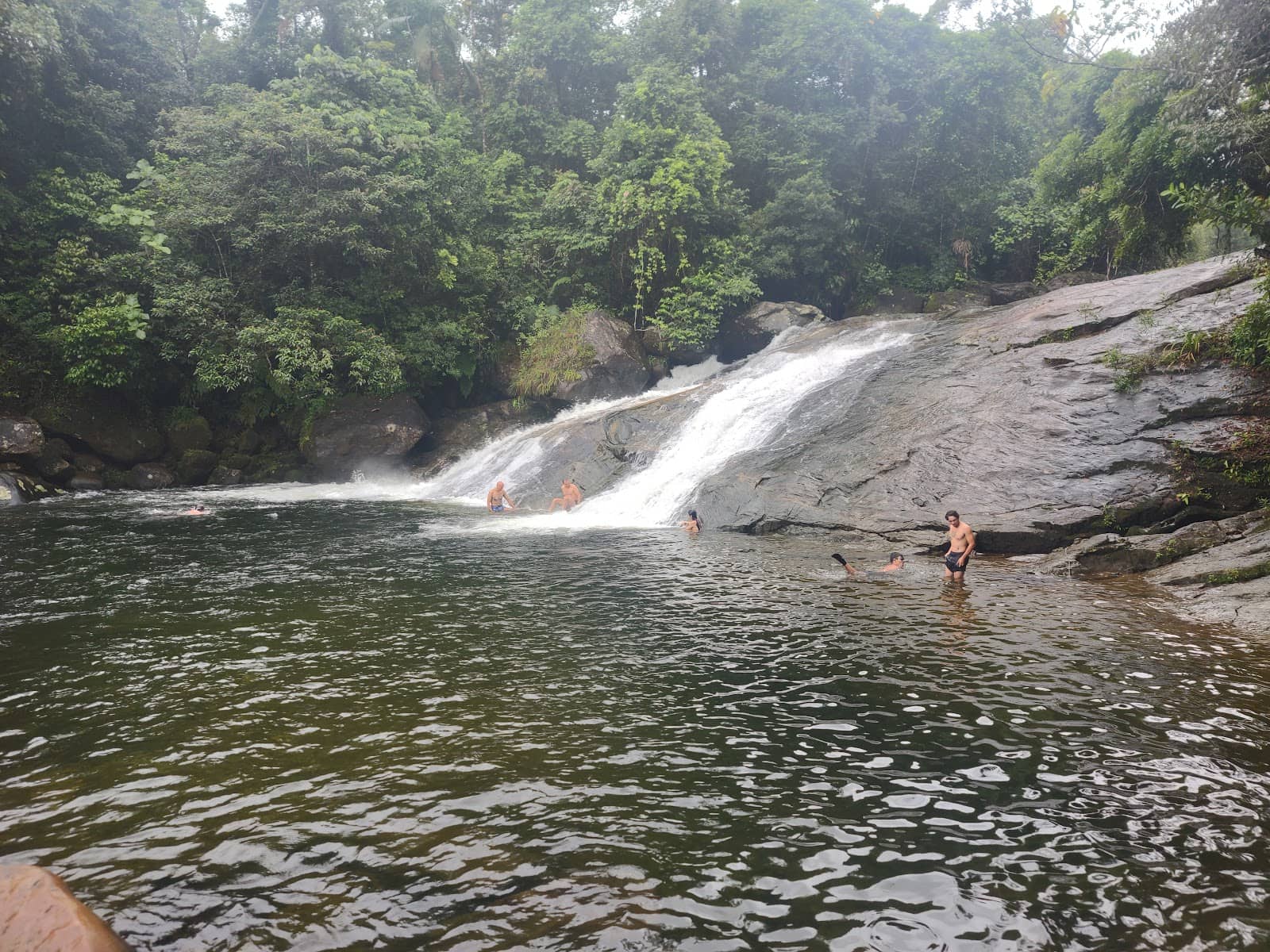 Atlantic Rainforest Trails
