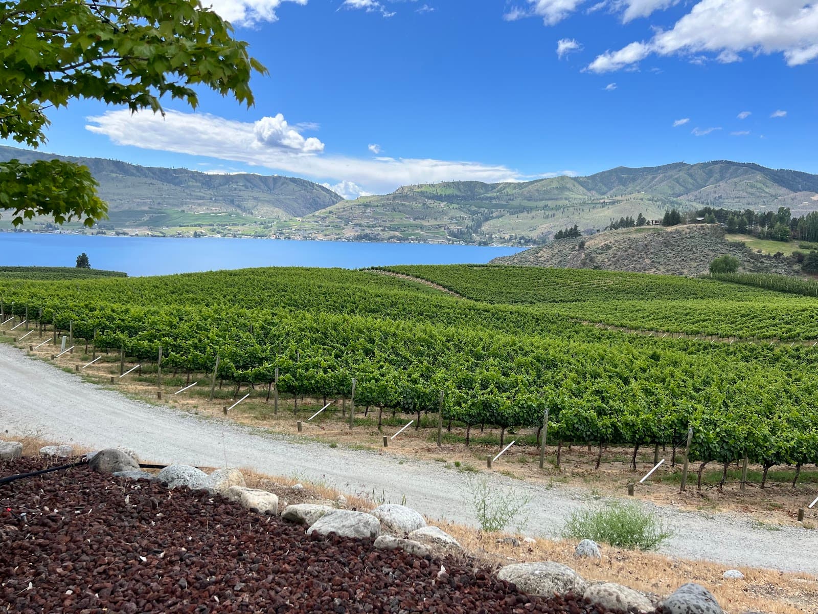Benson Vineyards Estate Winery - Image 1