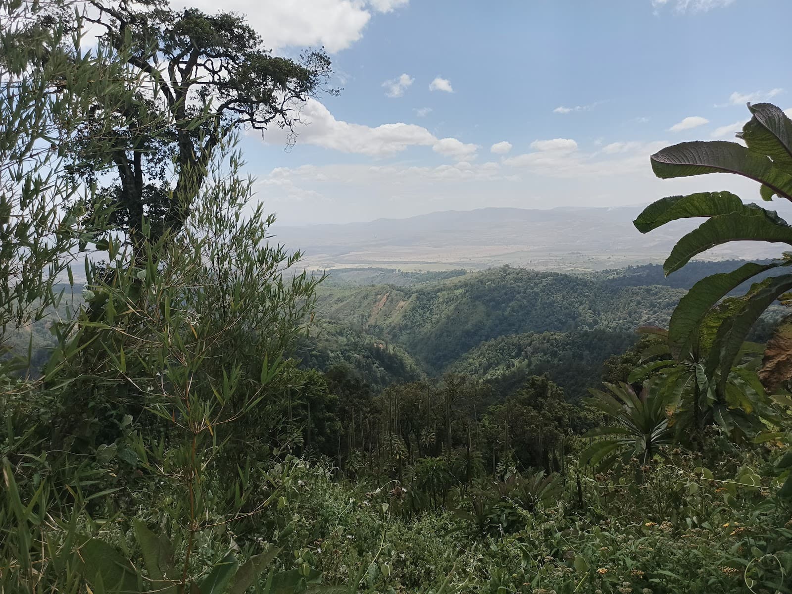 Mount Eburru - Image 1