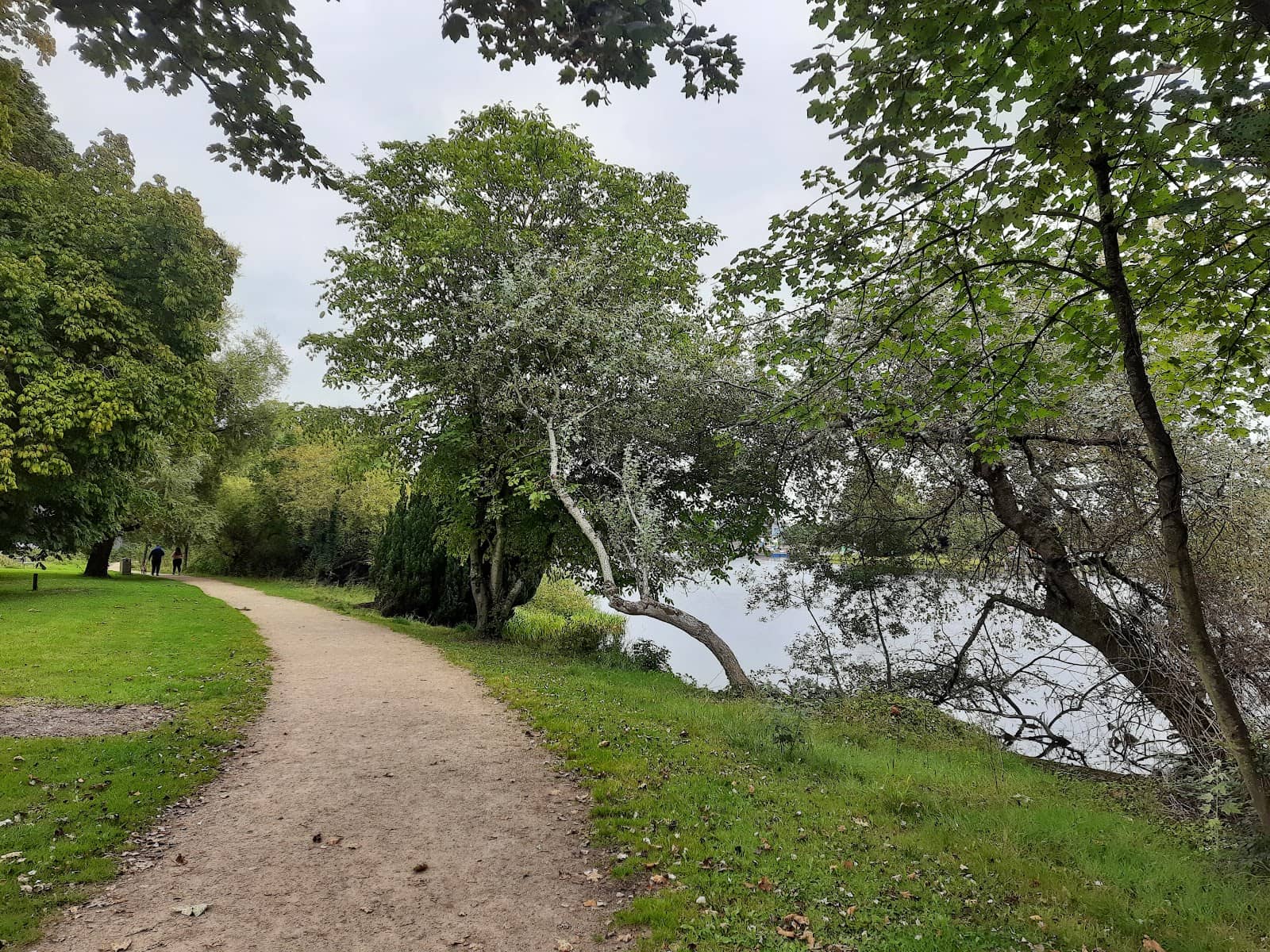 Family & Dog-Friendly Stroll