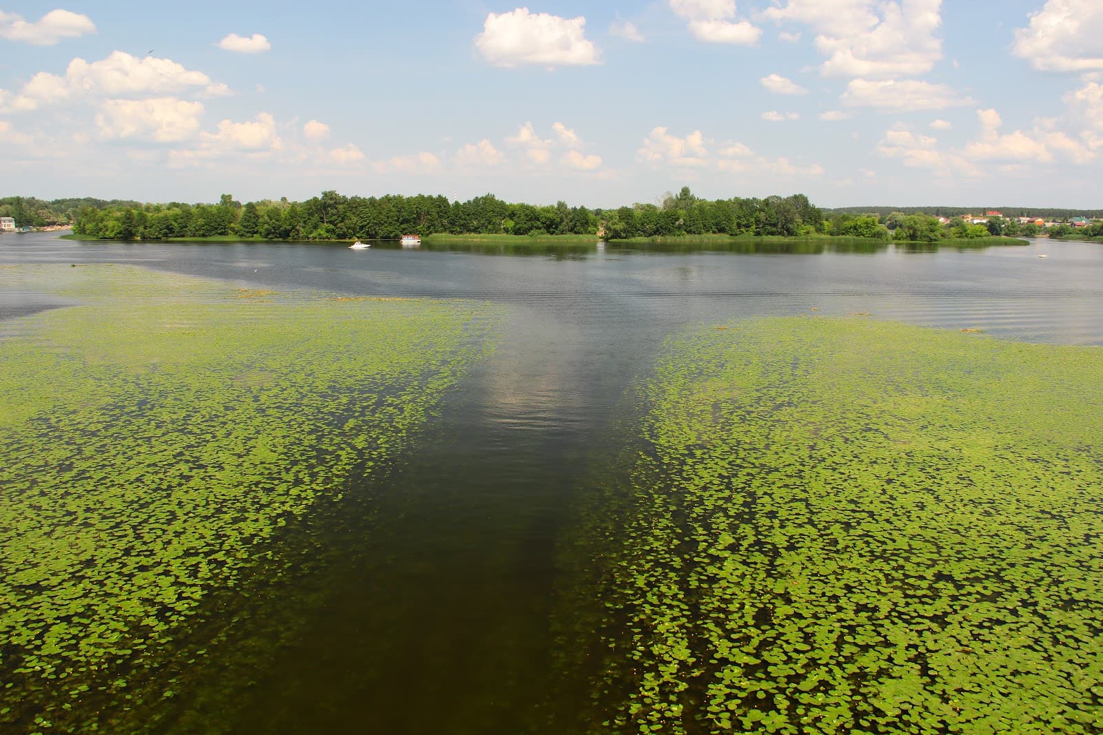 Zelyony Ostrov Park - Image 1