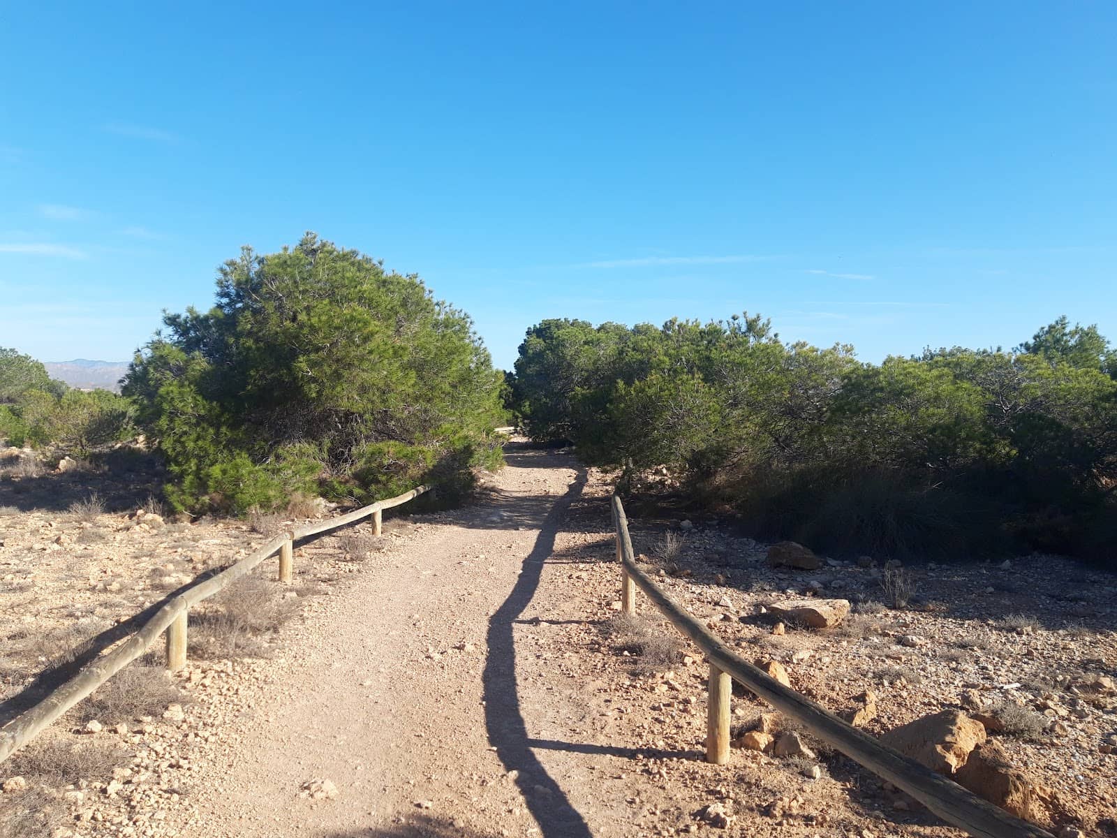 Picnic and Barbecue Spots