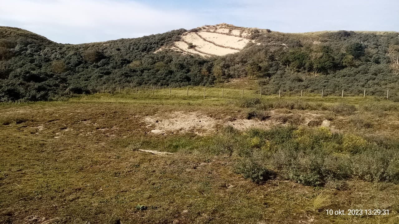 Berkheide Dunes - Image 1