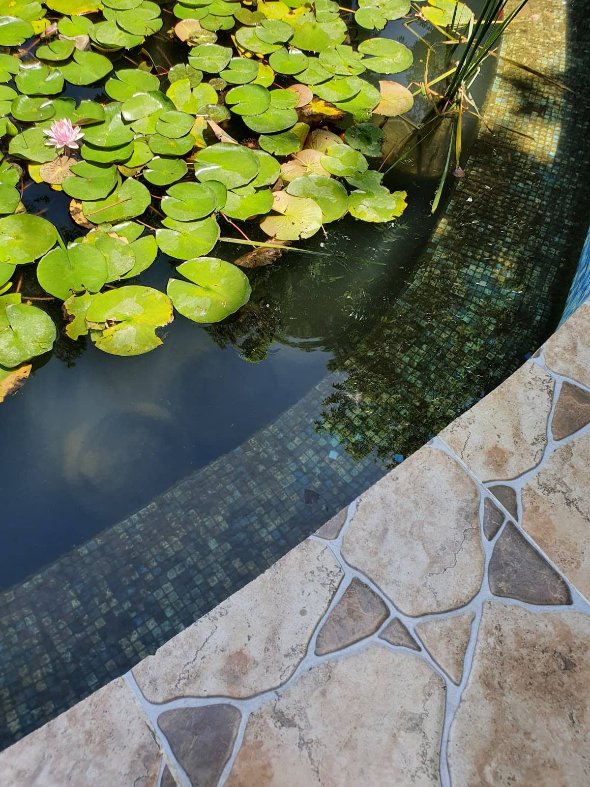 Shaded Gazebos and Seating