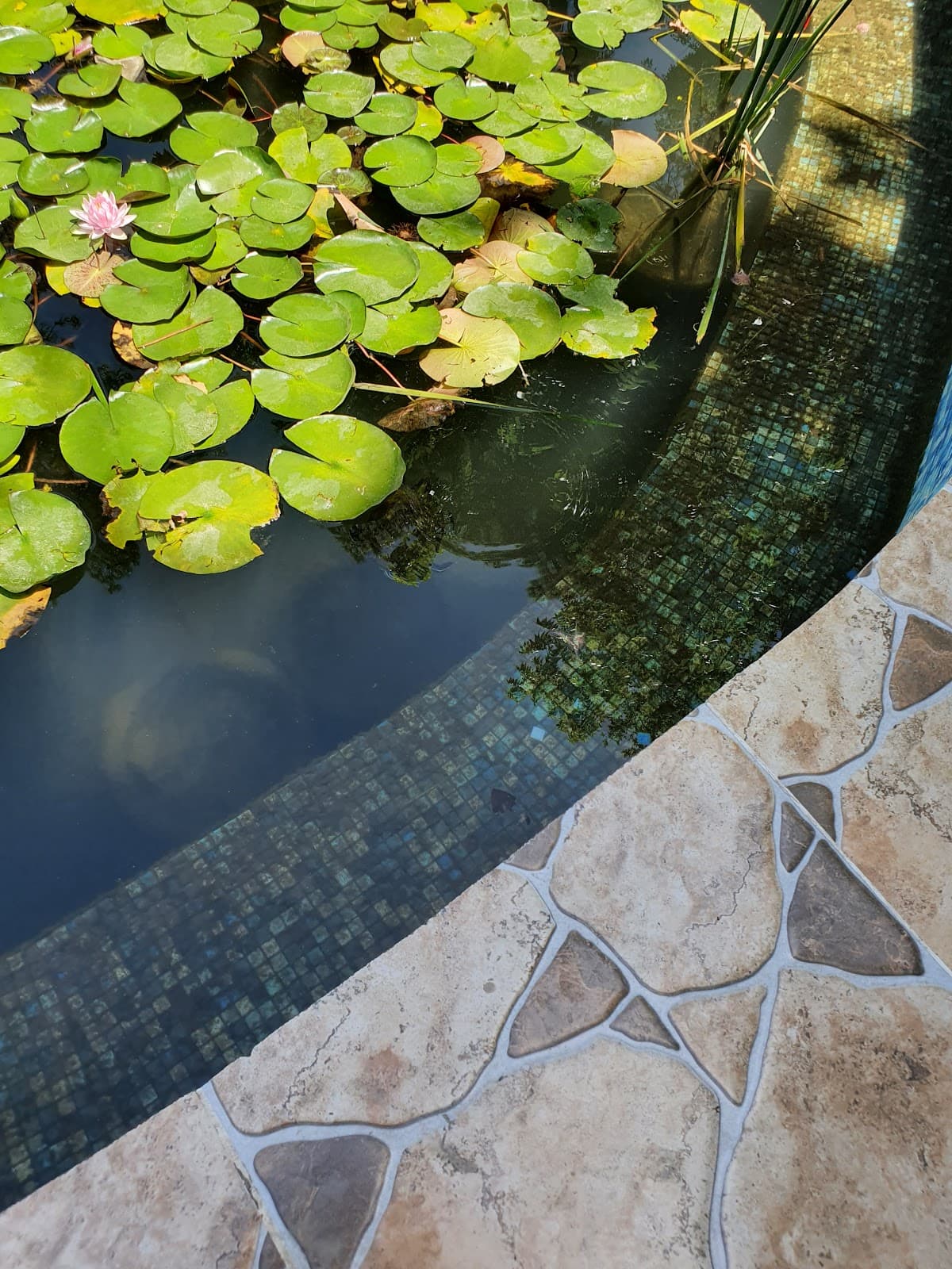 Ashgabat Botanical Garden - Image 1