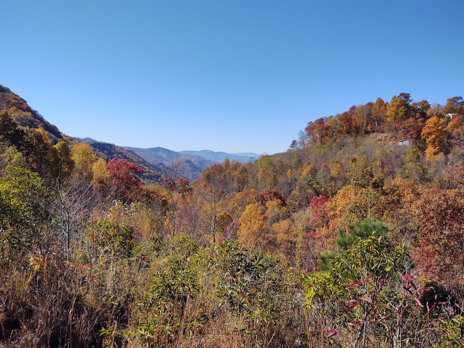 Cataloochee Valley - Image 1