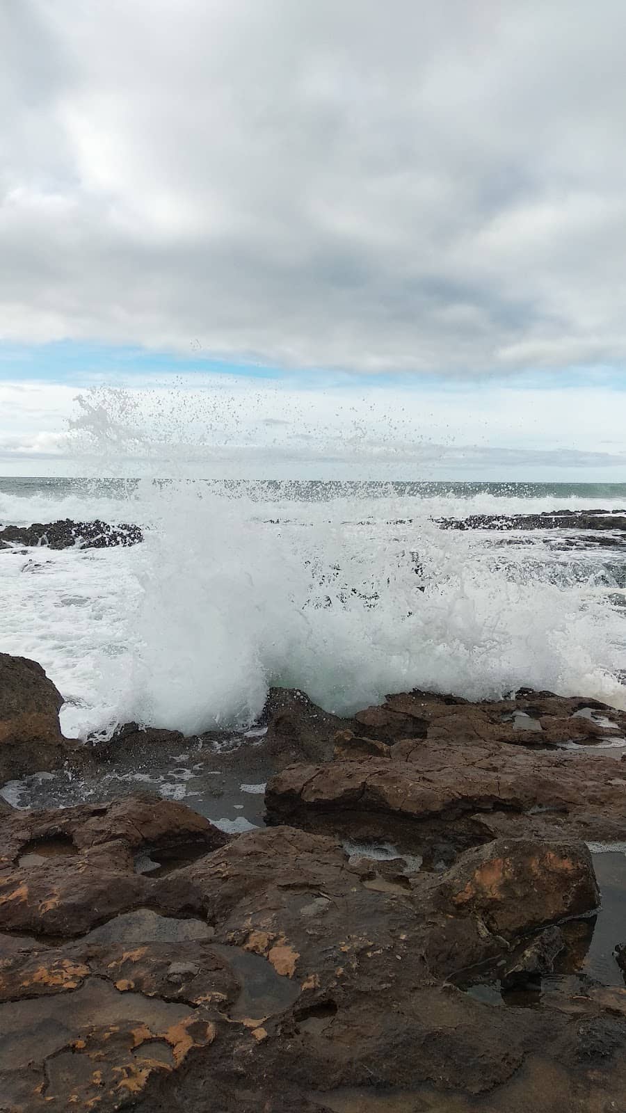 Peaceful Contemplation Spot