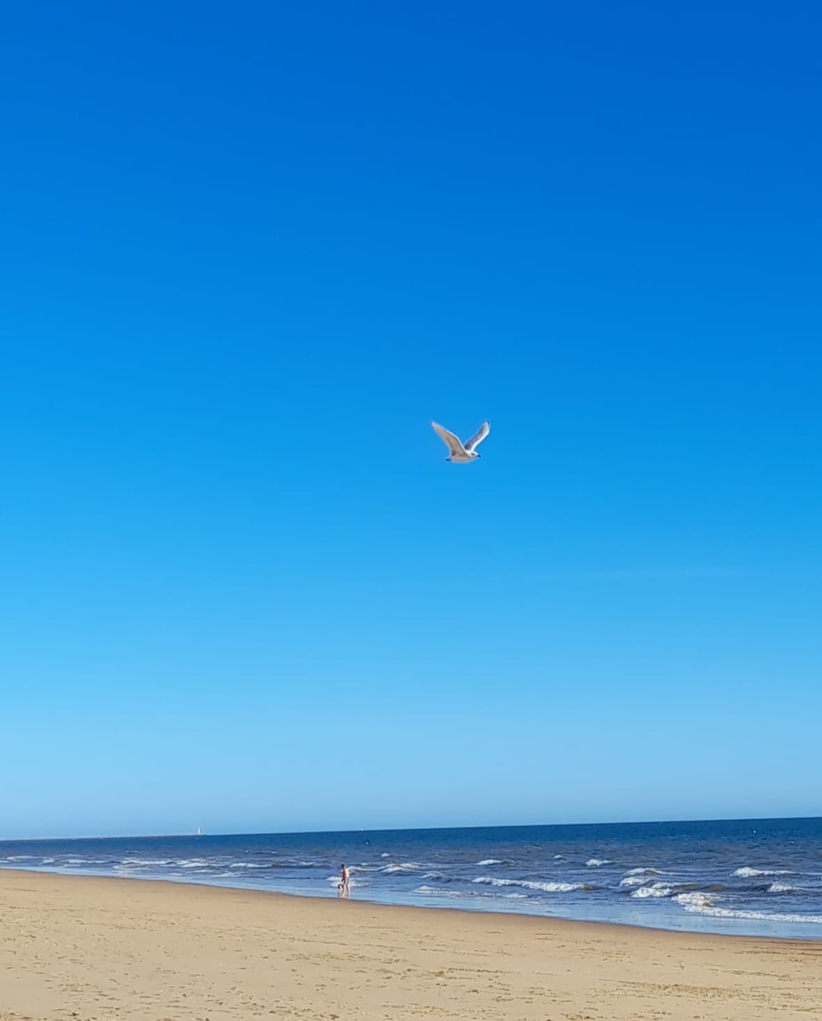 Playa del Espigón - Image 1