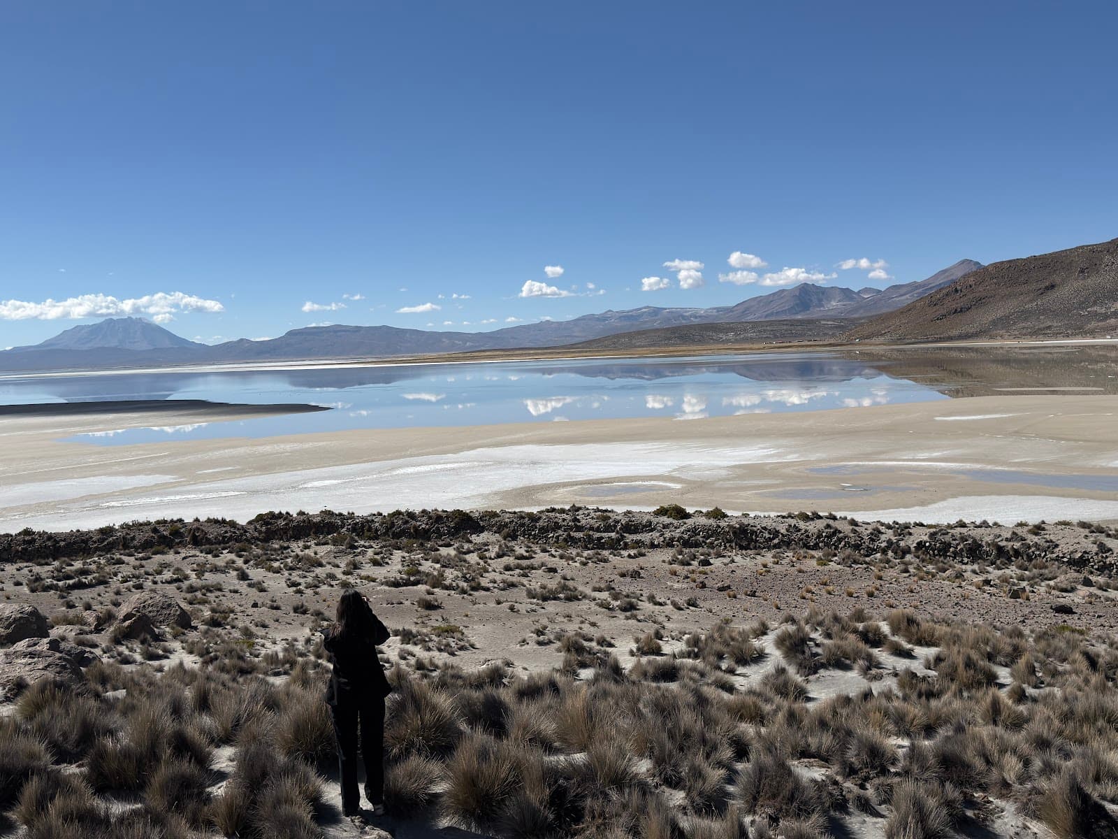 Laguna de Salinas - Image 1