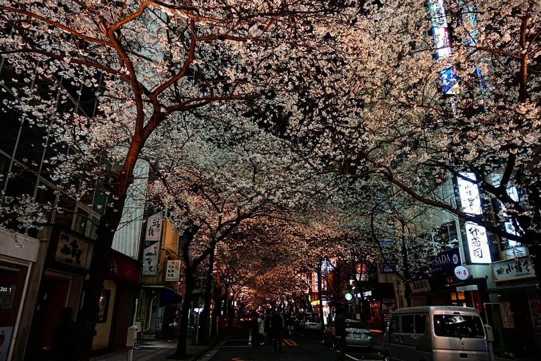 Yaesu Tokyo - Image 1