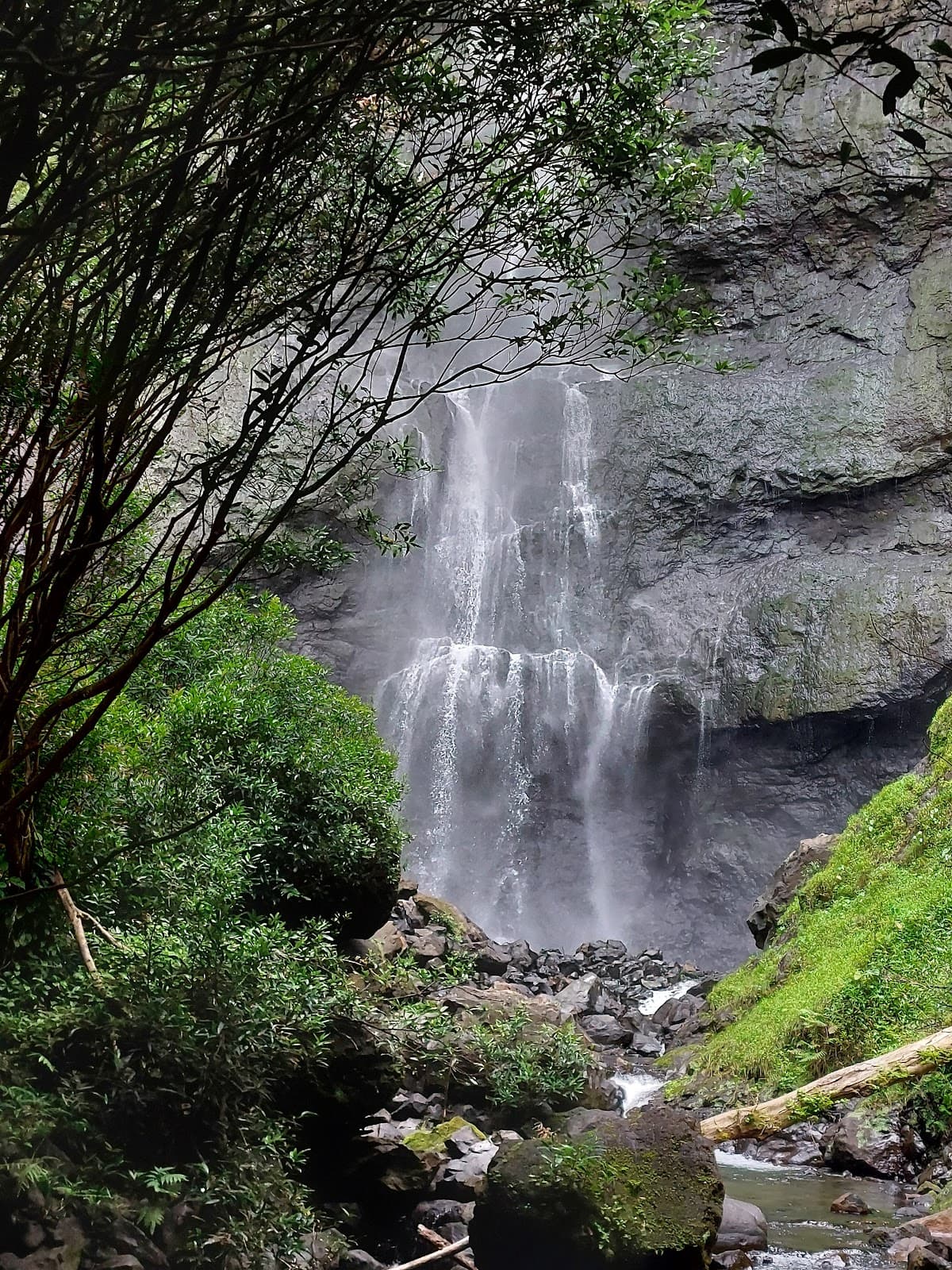 Fautaua Valley & Waterfall - Image 1