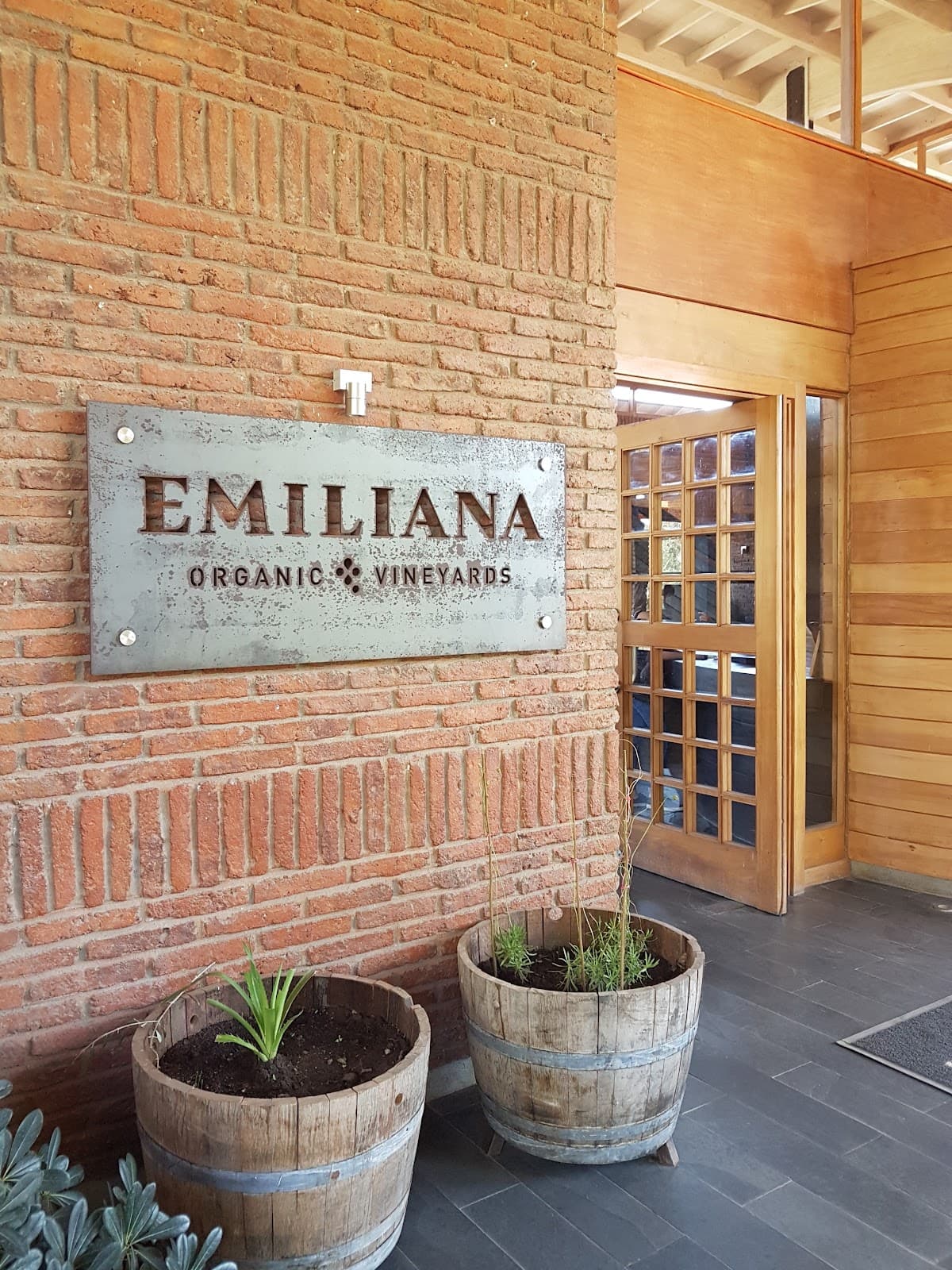Viña Emiliana - Image 1