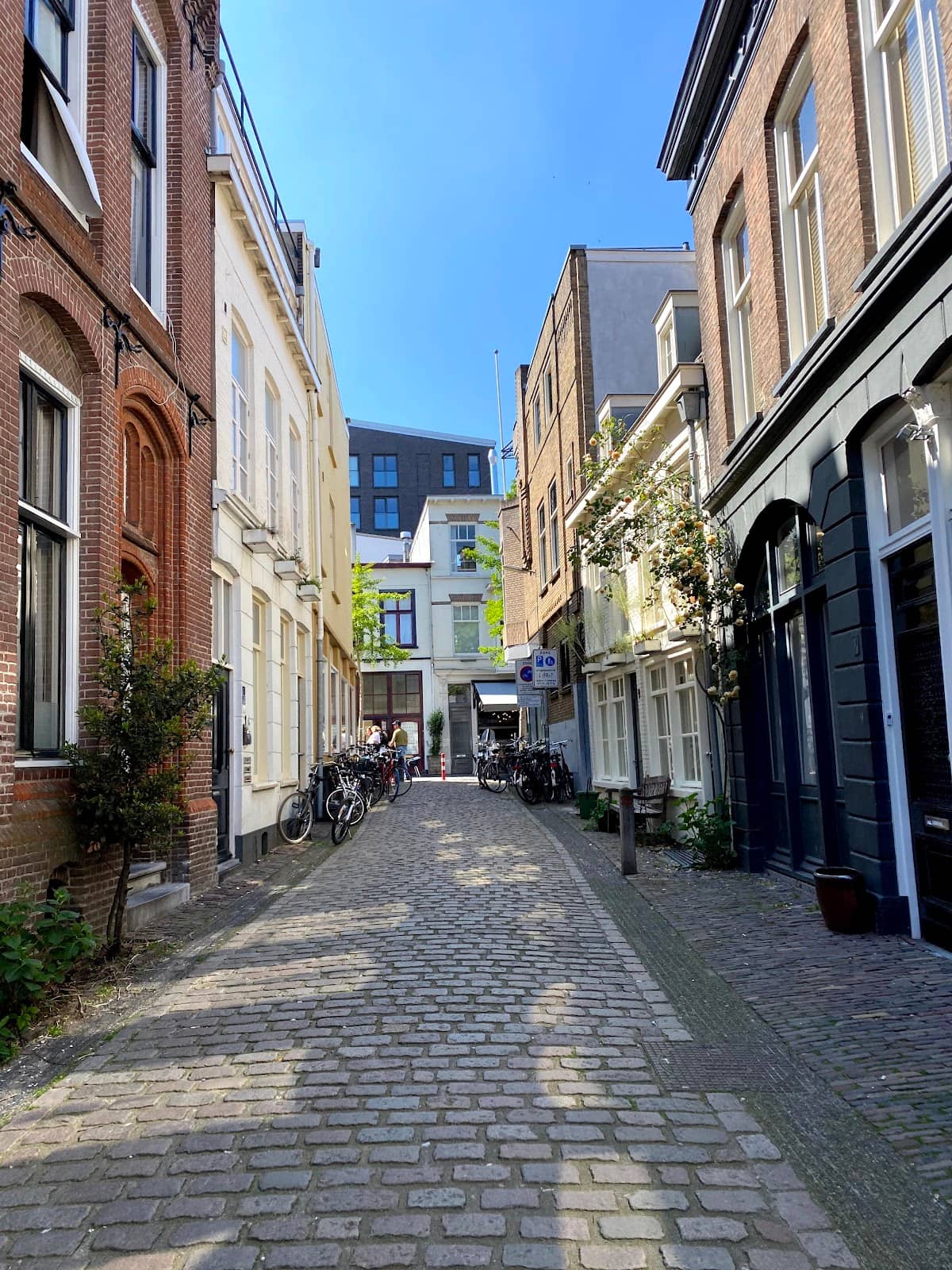 Riverside Relaxation