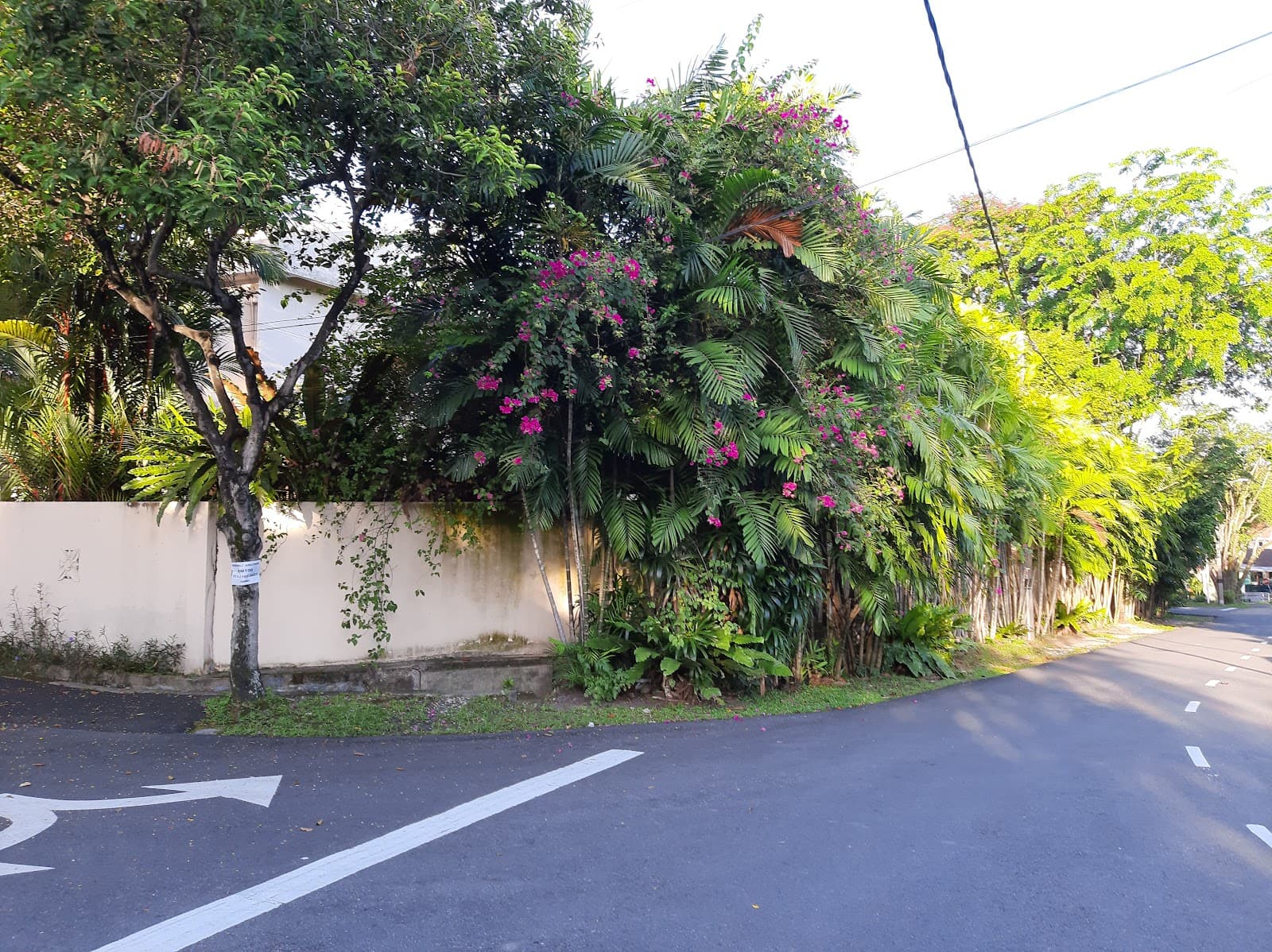 SS2 Petaling Jaya - Image 1