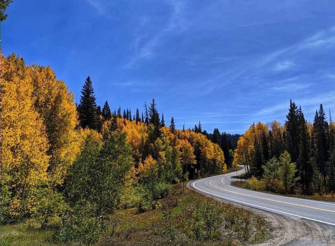 Grand Mesa Scenic Byway Drive