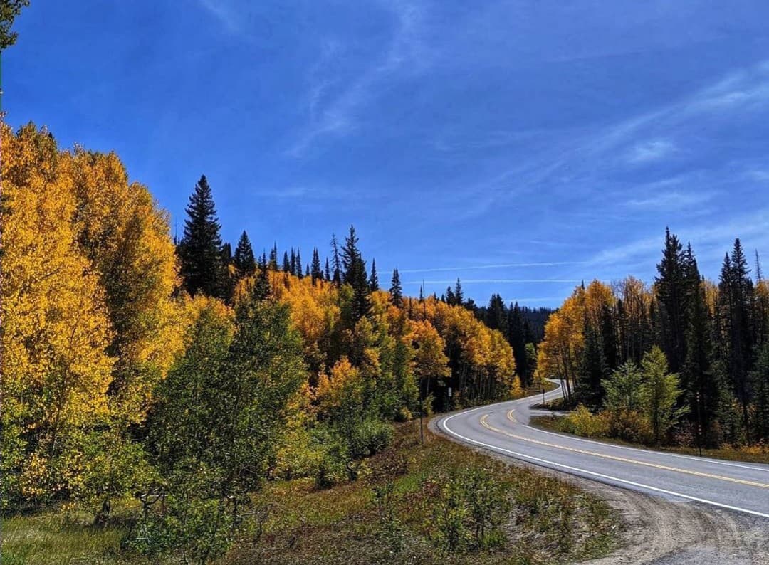 Grand Mesa Scenic Byway - Image 1