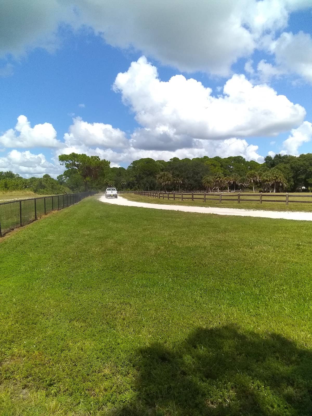 Wooded Walking Trail