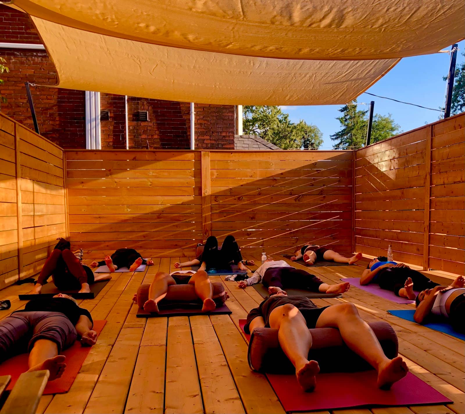 Vinyasa Flow Experience