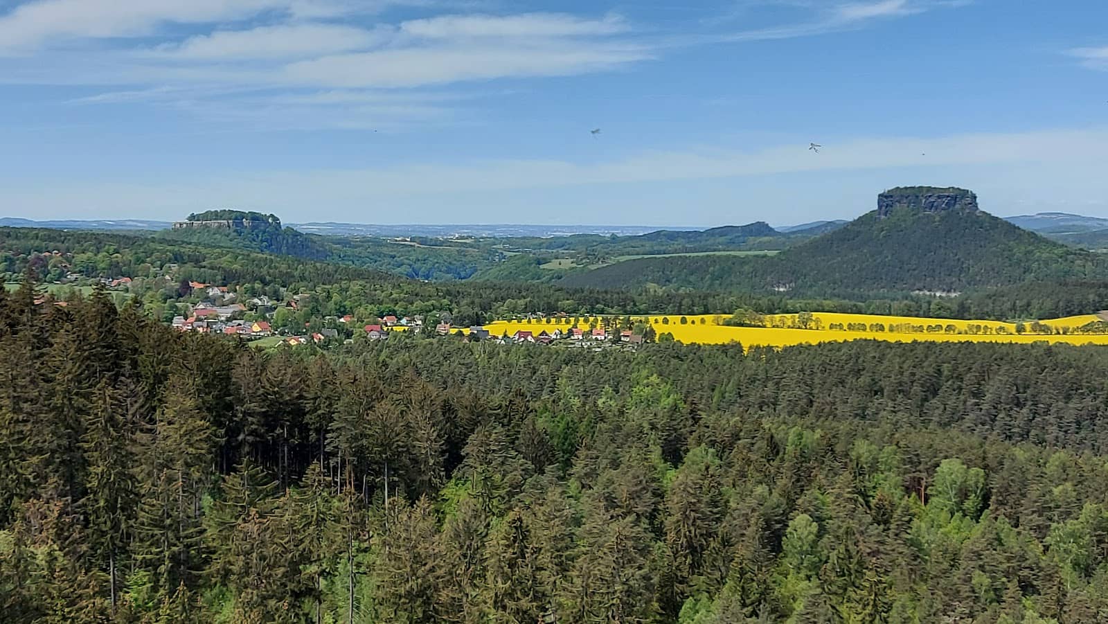Gohrisch Heathland