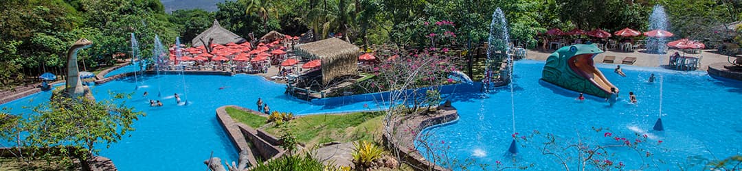 Arajara Park (Barbalha) - Image 1