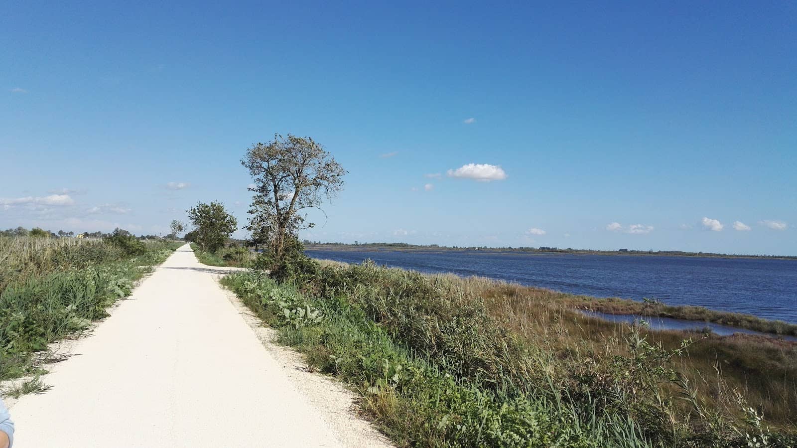 Cycling the Flat Terrain