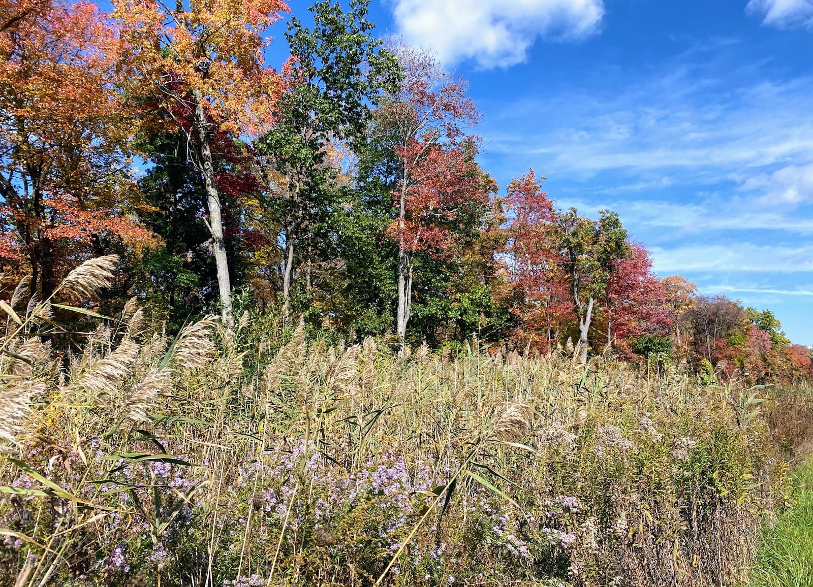 Calumet Bike Trail - Image 1